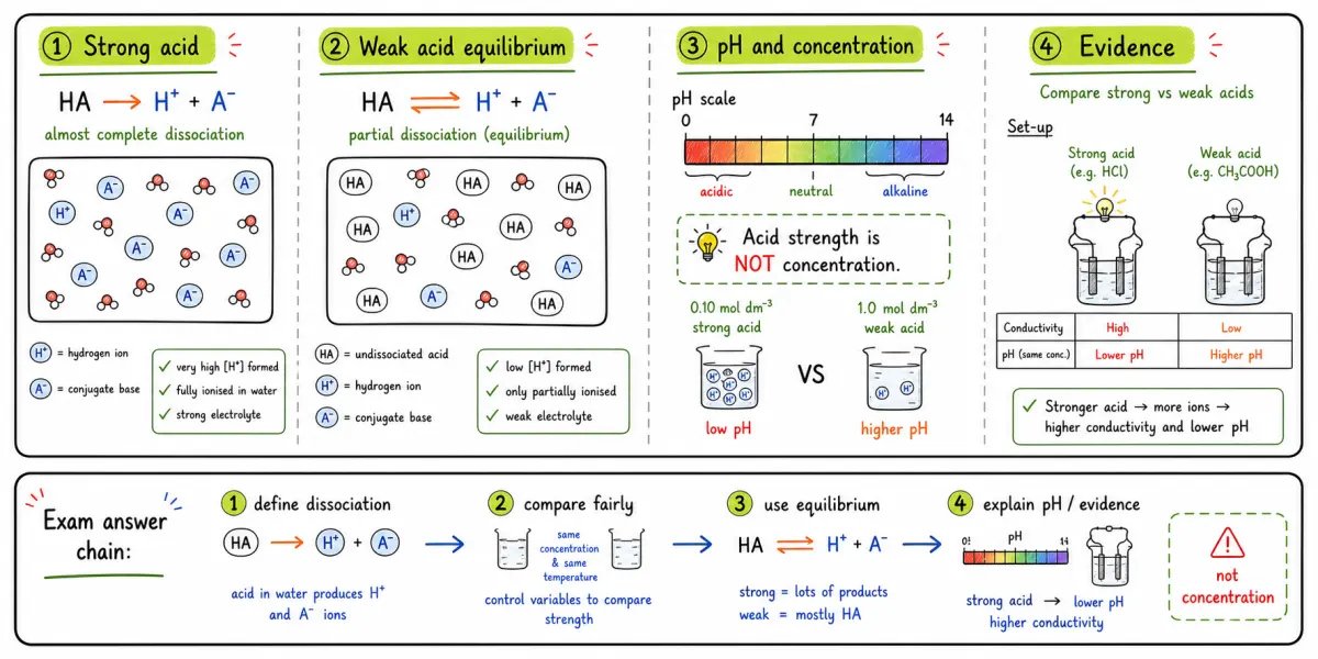 IB Chemistry SL Strong and Weak Acids: Exam Answer Guide study diagram