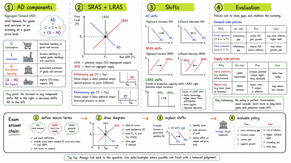 AD + AS study board