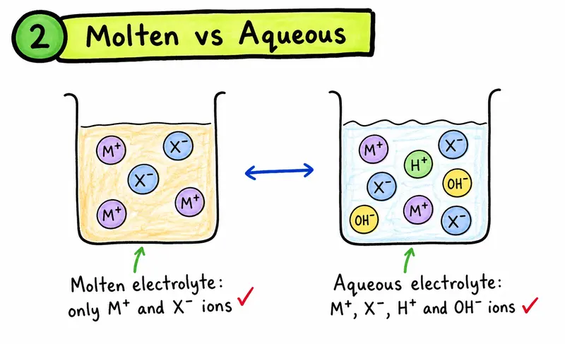 IGCSE Chemistry molten versus aqueous electrolyte ions