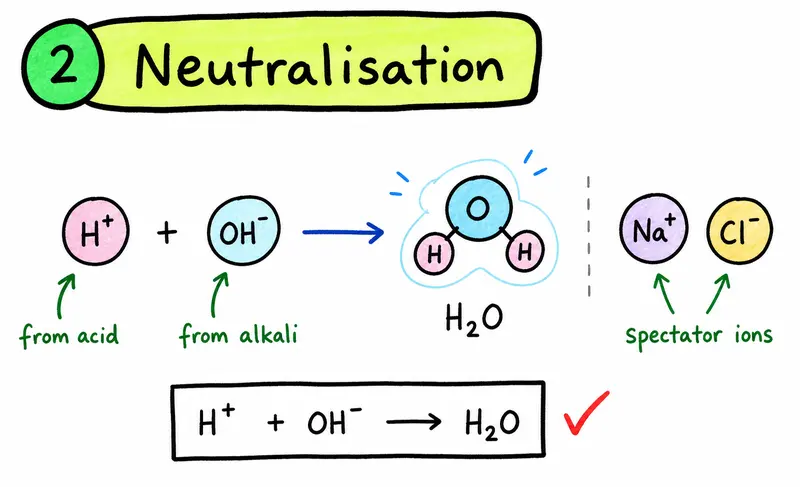 IB Chemistry neutralisation net ionic equation