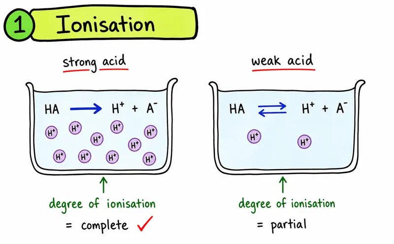 Hand-drawn IB Chemistry diagram comparing complete ionisation of strong acids with partial ionisation of weak acids.