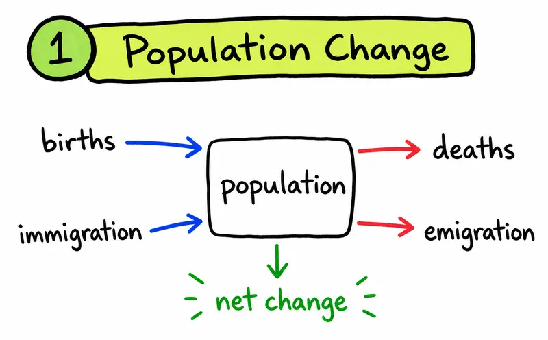 Hand-drawn IB ESS diagram showing births, deaths, immigration, and emigration changing population size.