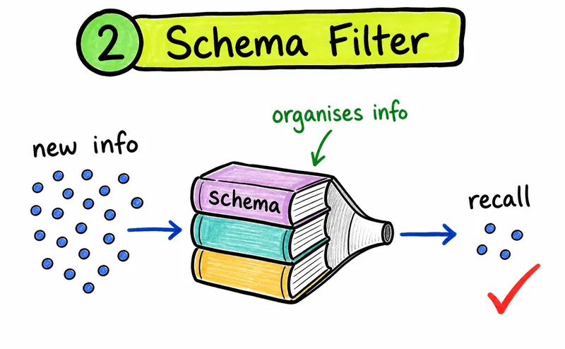 Hand-drawn IB Psychology schema diagram showing schemas organising new information before recall.