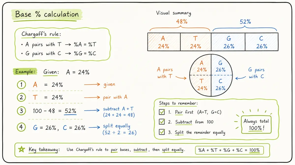 IB Biology Chargaff rule base percentage calculation