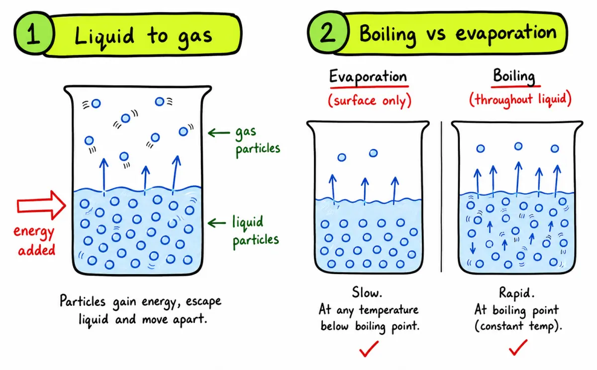 IB Chemistry vaporization evaporation and boiling diagram