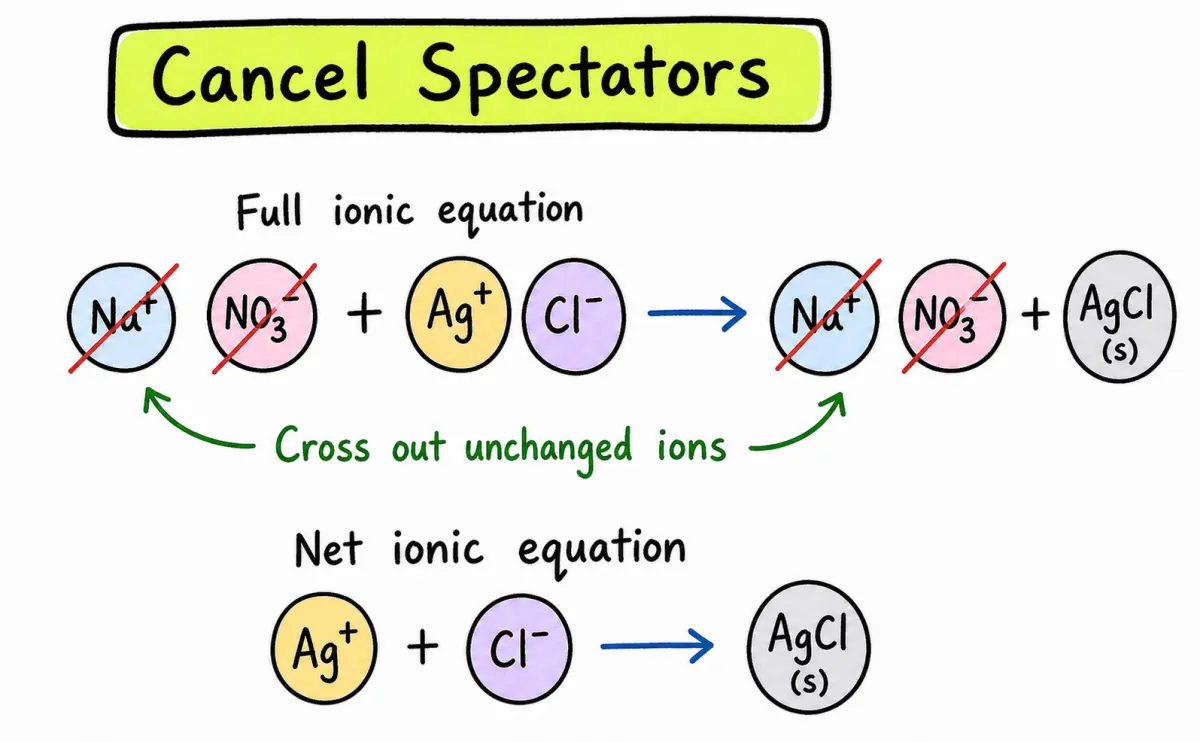 IB Chemistry spectator ions net ionic equation diagram