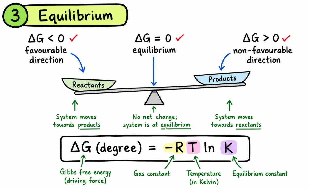 IB Chemistry HL Gibbs equilibrium study diagram