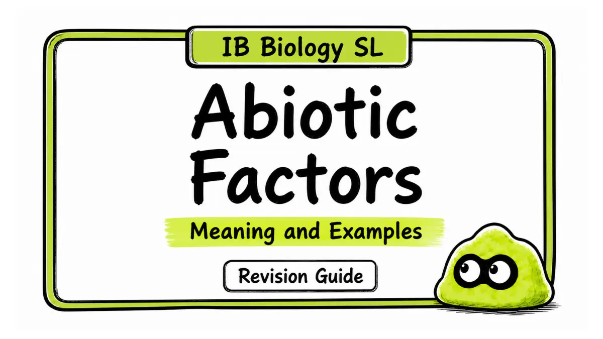 Abiotic Factors Explained | IB Biology SL