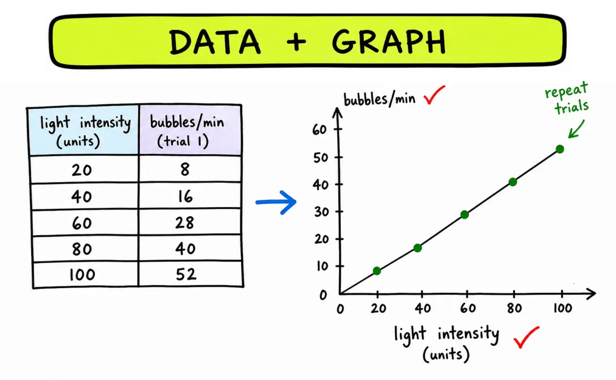 Data and graph