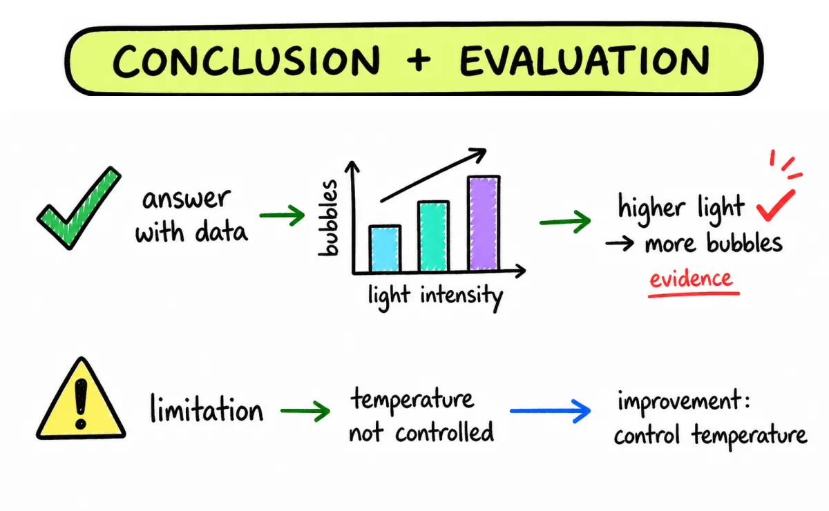 Conclusion and evaluation