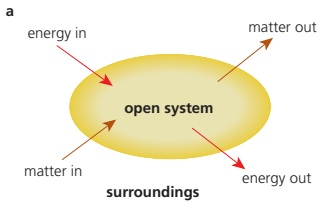 An open system receives and releases both energy and matter across its boundary.