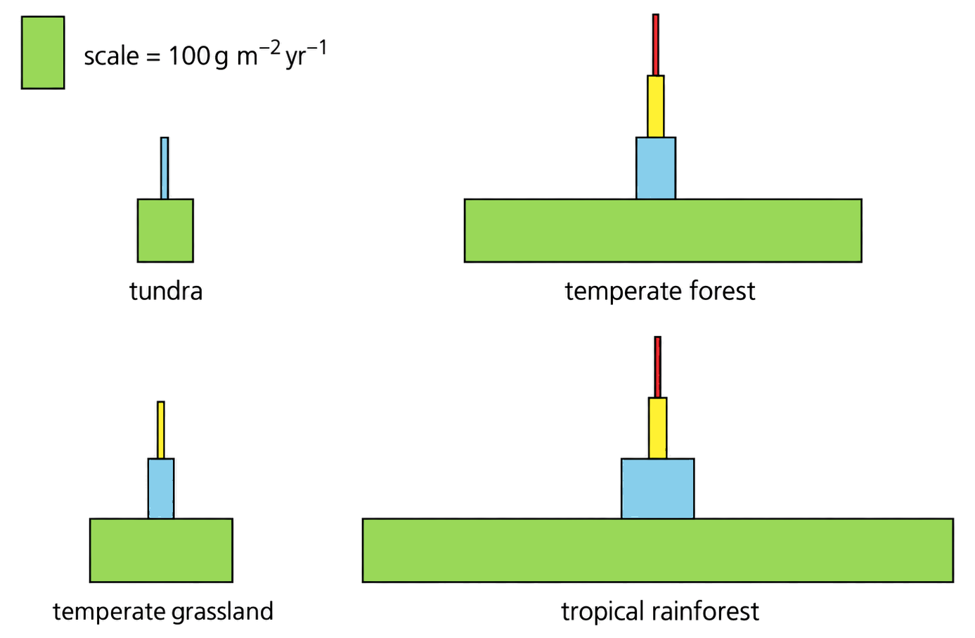 Energy pyramids for tundra, temperate forest, temperate grassland and tropical rainforest show progressively narrower upper trophic levels.