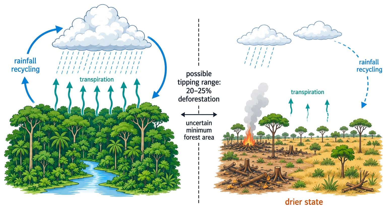 An intact Amazon forest sustains strong transpiration and rainfall recycling, while cleared and burned forest has weaker moisture recycling and moves toward a drier state; an uncertain possible tipping range is marked.