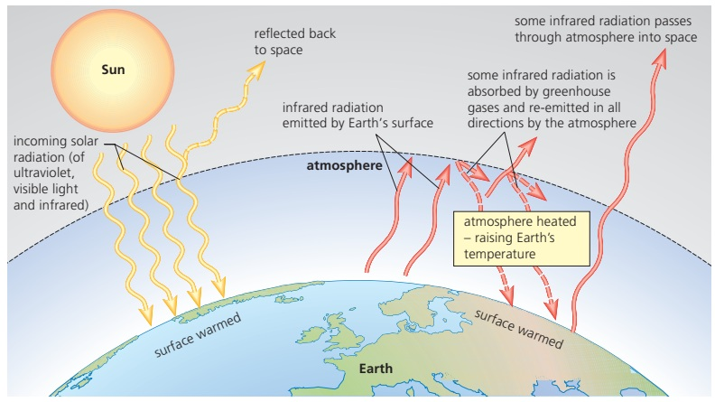 Shortwave solar radiation reaches and warms Earth; the surface emits longer-wave infrared radiation, some of which greenhouse gases absorb and re-emit in all directions.