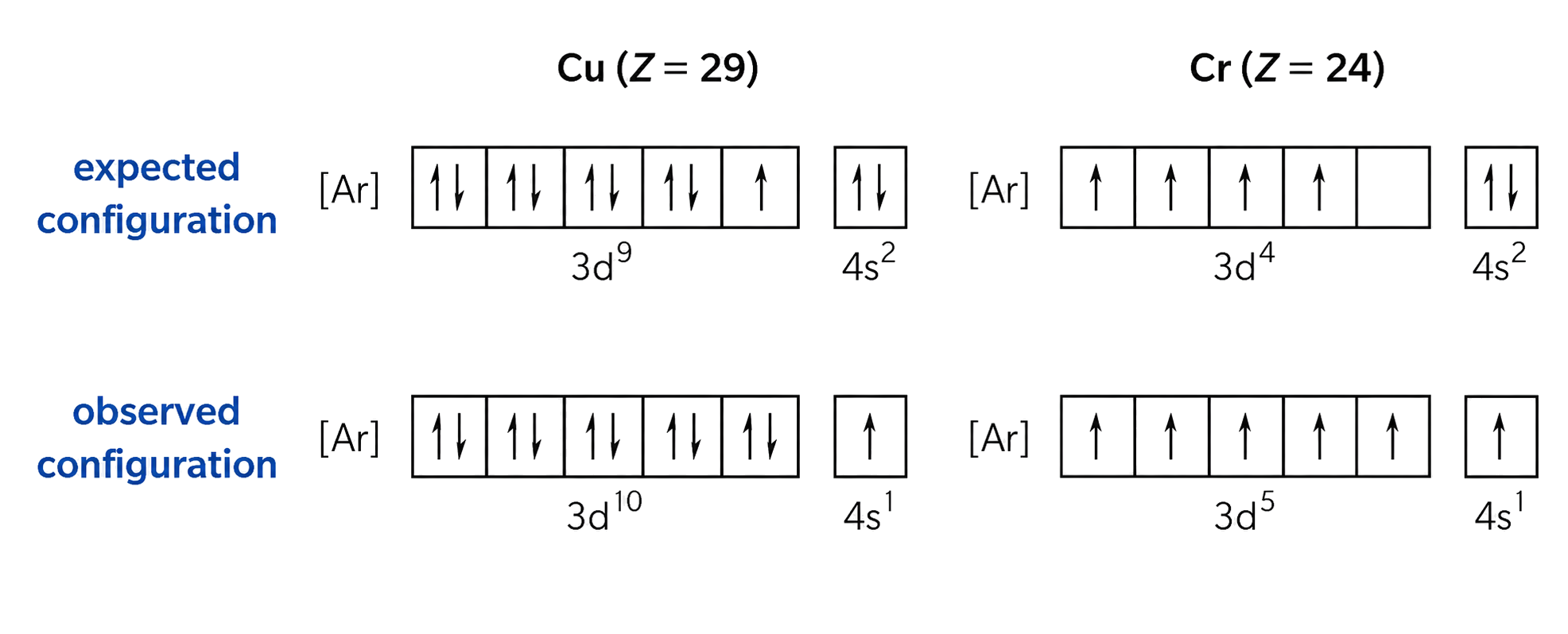Orbital boxes fill from lower to higher energy, singly before pairing and with opposite paired spins, with separate corrected rows for chromium and copper.