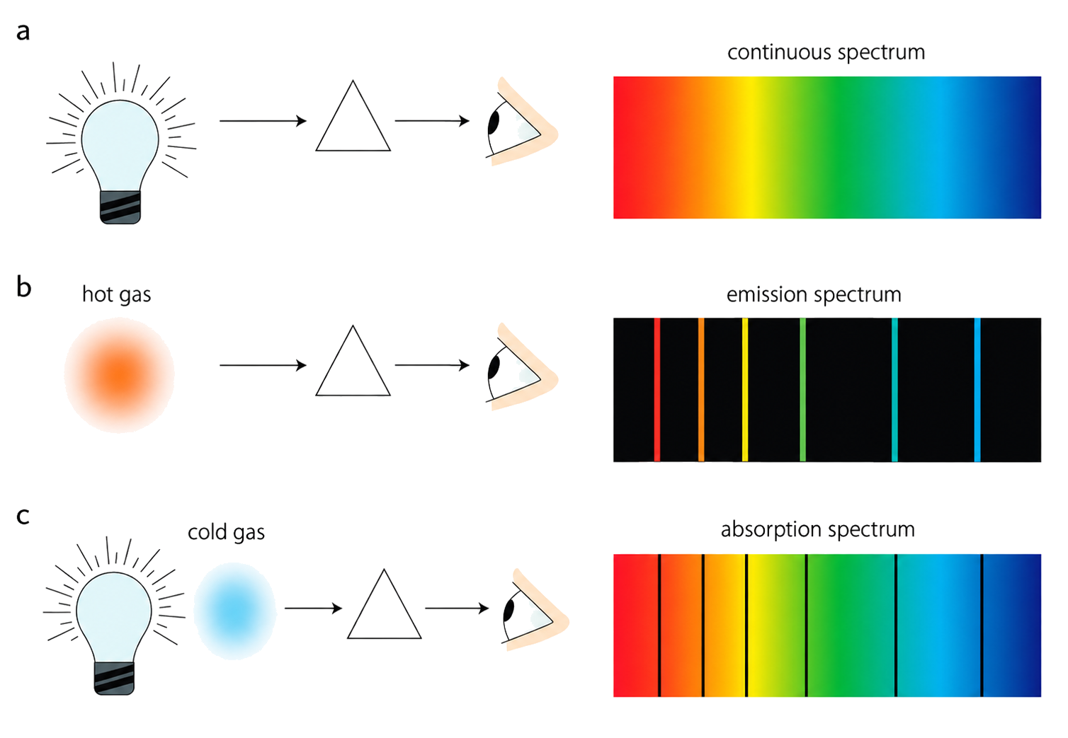Electron drops between discrete energy levels emit specific photons, producing separate lines rather than a continuous spectrum.