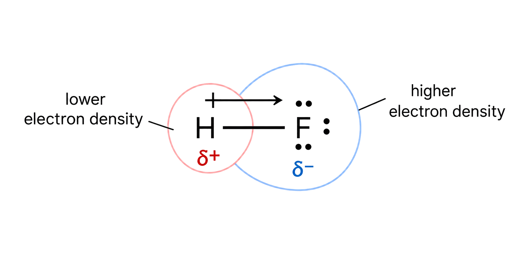 F is delta-negative and H is delta-positive; both dipole arrows point toward F with the positive cross at the H end; fluorine has three lone pairs; electron density is shifted toward the more electronegative fluorine.