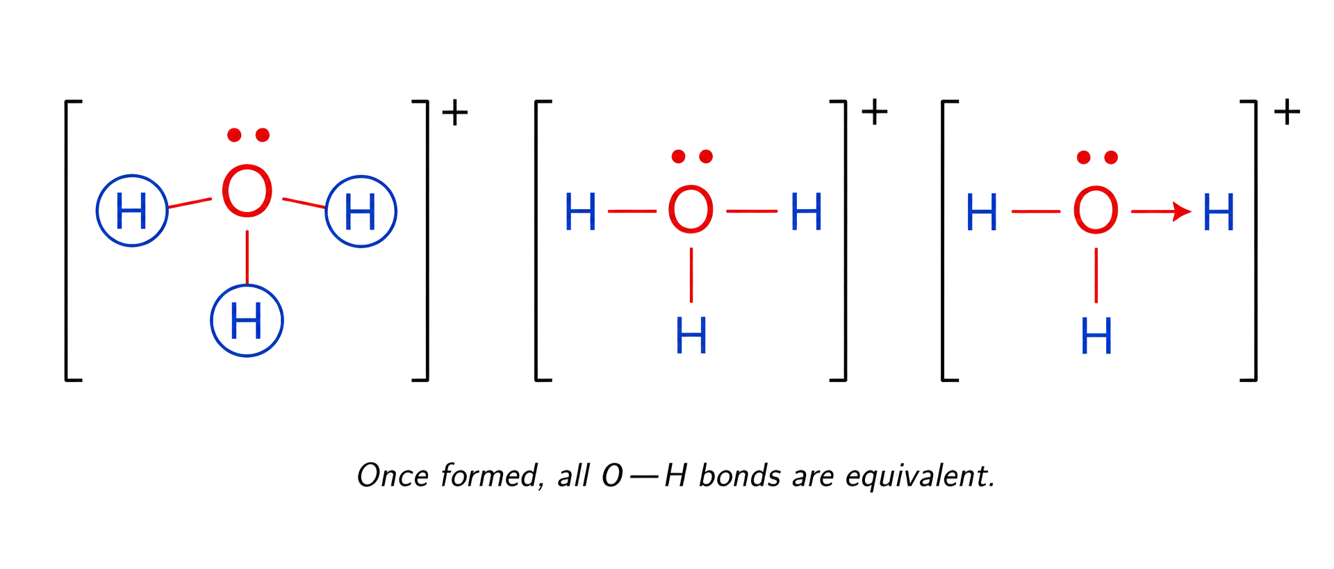 each representation is H3O+ with exactly three hydrogens and overall + charge; oxygen has one lone pair; coordinate arrow points O to H; caption states that all O-H bonds are equivalent once formed.