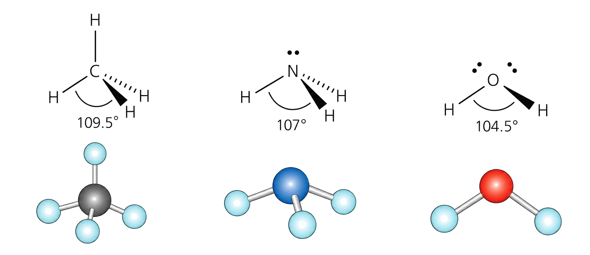 CH4 has four bonds, zero lone pairs, tetrahedral geometry, and 109.5 degrees; NH3 has three bonds, one lone pair, trigonal-pyramidal geometry, and 107 degrees; H2O has two bonds, two lone pairs, bent geometry, and 104.5 degrees; wedge/dash structures agree with the ball-and-stick models.