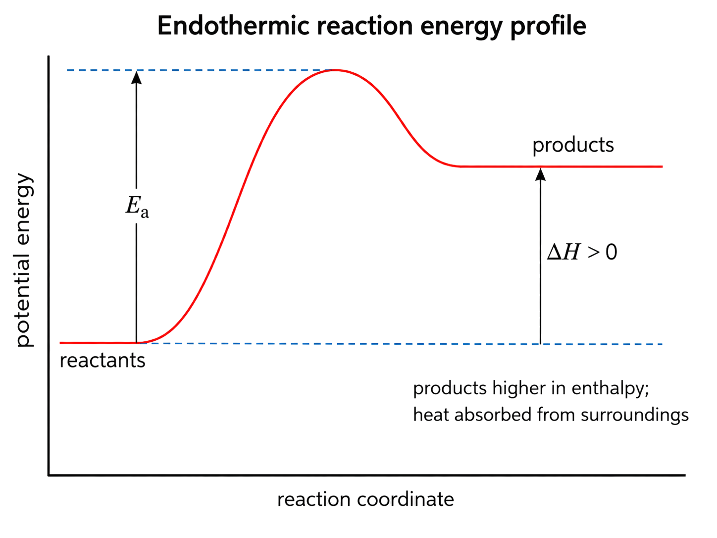 products are higher in enthalpy than reactants; Ea runs from the reactant level to the transition-state peak; ΔH points upward and is labelled positive; heat absorption is assigned from the surroundings.