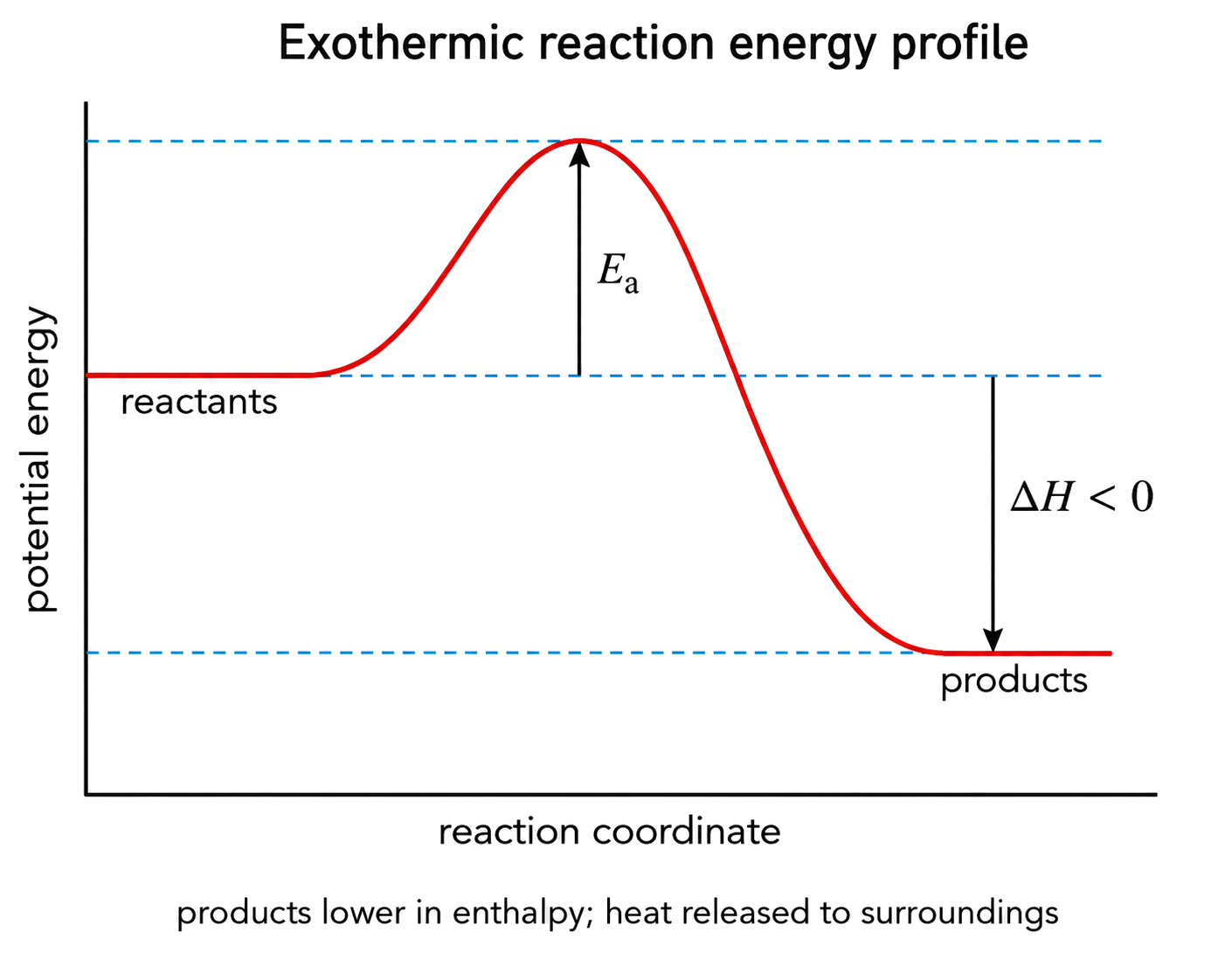 products are lower in enthalpy than reactants; Ea runs from the reactant level to the transition-state peak; ΔH points downward and is labelled negative; heat release is assigned to the surroundings.