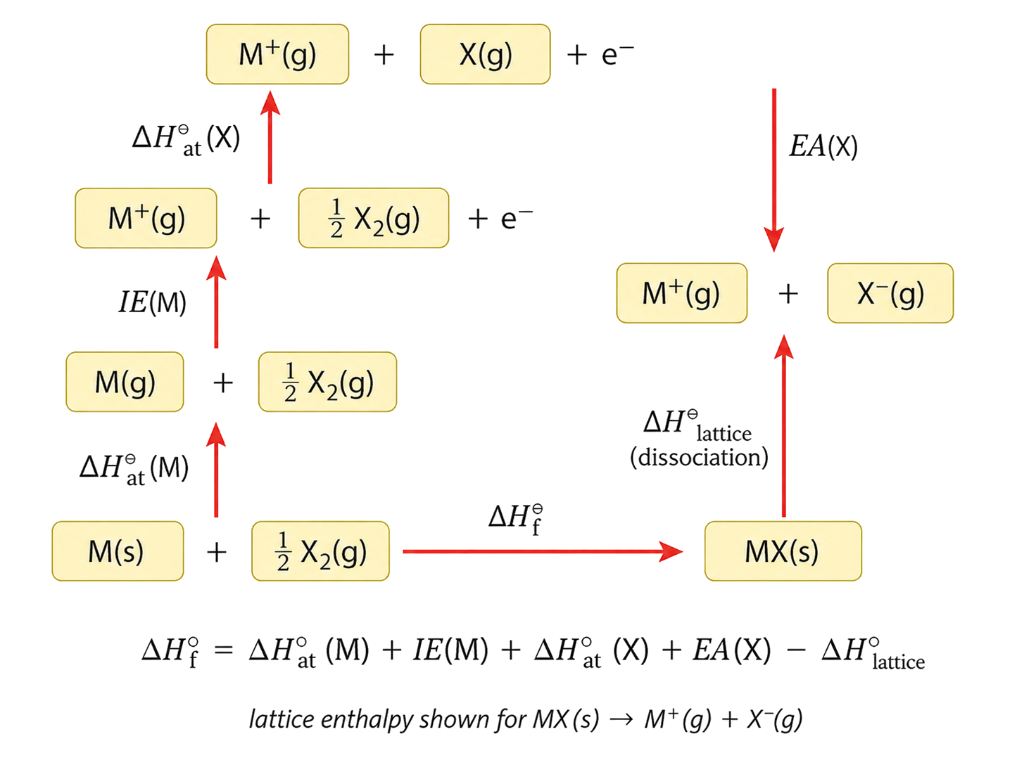 M and X atomization, M ionization, and X electron affinity retain all species and state symbols; the electron remains present until the electron-affinity step; the lattice arrow uses the stated dissociation convention from MX(s) to gaseous ions; the enthalpy identity is consistent with the dissociation convention.