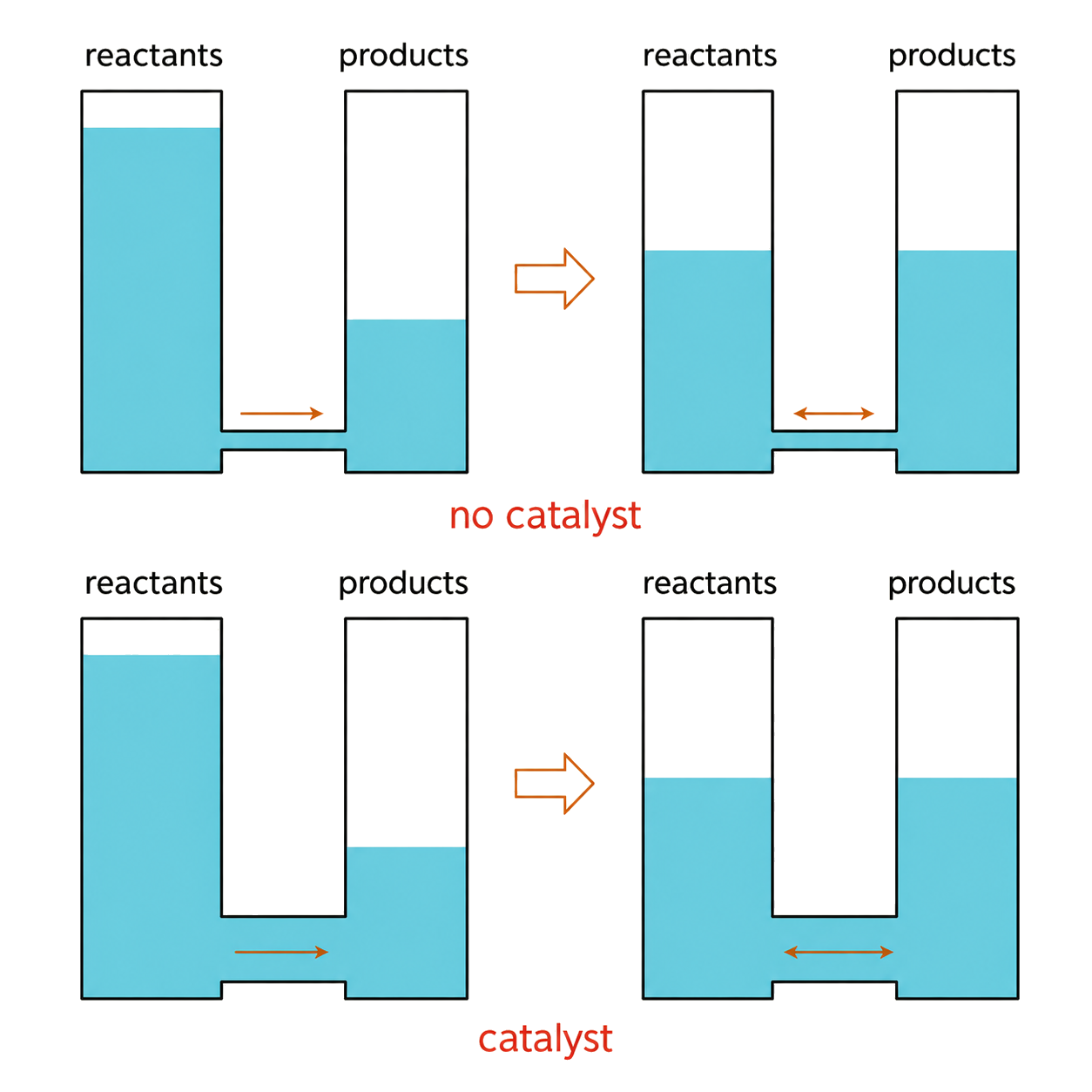 the no-catalyst and catalyst rows begin from matching reactant and product levels; the catalyst row differs through a wider connecting path, representing faster equalization; both rows finish at matching equal liquid levels; the catalyst is not shown changing equilibrium position or the final state.