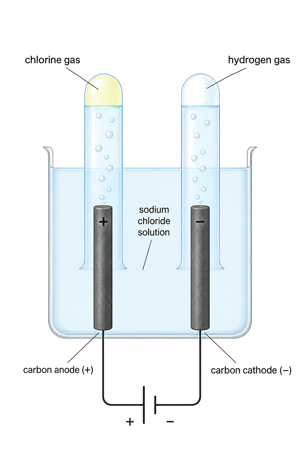 aqueous sodium chloride and inert carbon electrodes are explicit; chlorine is collected at the positive anode; hydrogen is collected at the negative cathode; sodium metal is not shown as an aqueous cathode product.