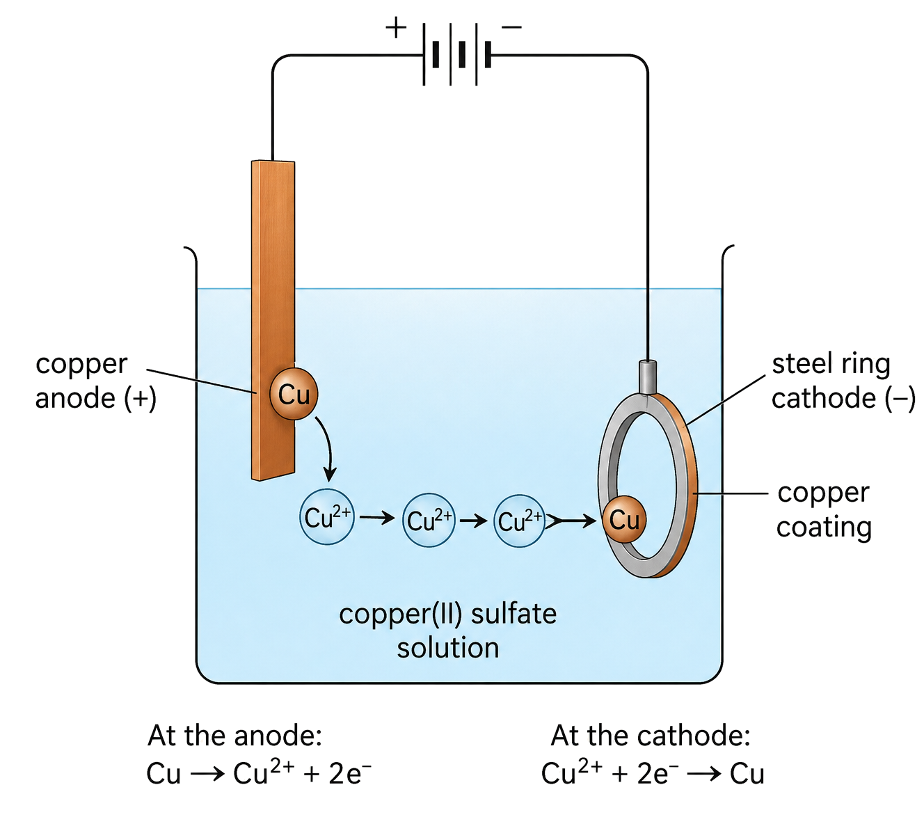 the soluble copper anode is positive and the steel ring cathode is negative; Cu2+ moves through copper(II) sulfate solution toward the ring; copper dissolves at the anode and is reduced as a coating at the cathode; both copper half-equations are correct and electron-balanced.