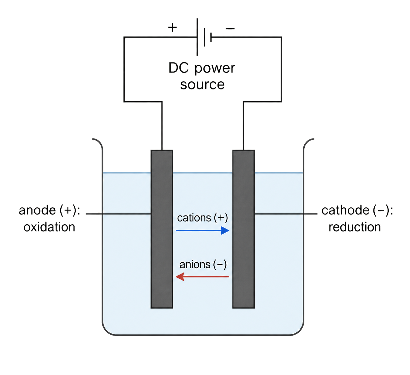 the electrolytic anode is positive and is the site of oxidation; the electrolytic cathode is negative and is the site of reduction; cations move to the cathode and anions move to the anode; the external DC source is explicit and no spontaneous operation is implied.