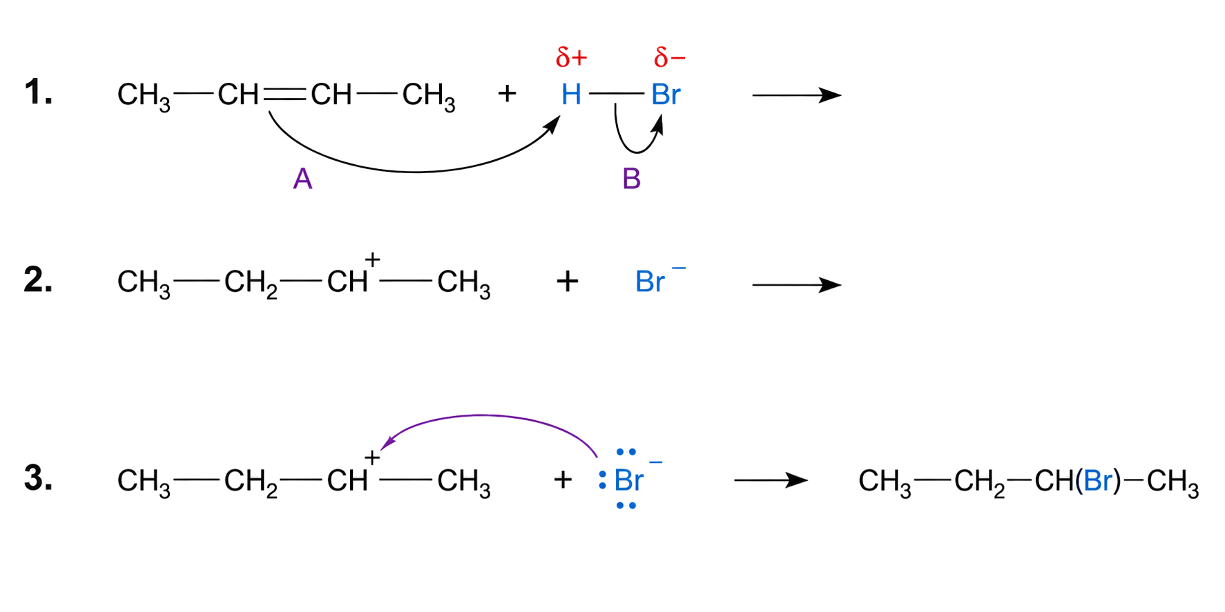the pi bond attacks H delta positive and the H-Br bond pair moves to Br; the intermediate is the valid secondary butyl carbocation plus Br-; the bromide lone pair attacks C+; the final condensed formula is 2-bromobutane with no duplicated hydrogens.
