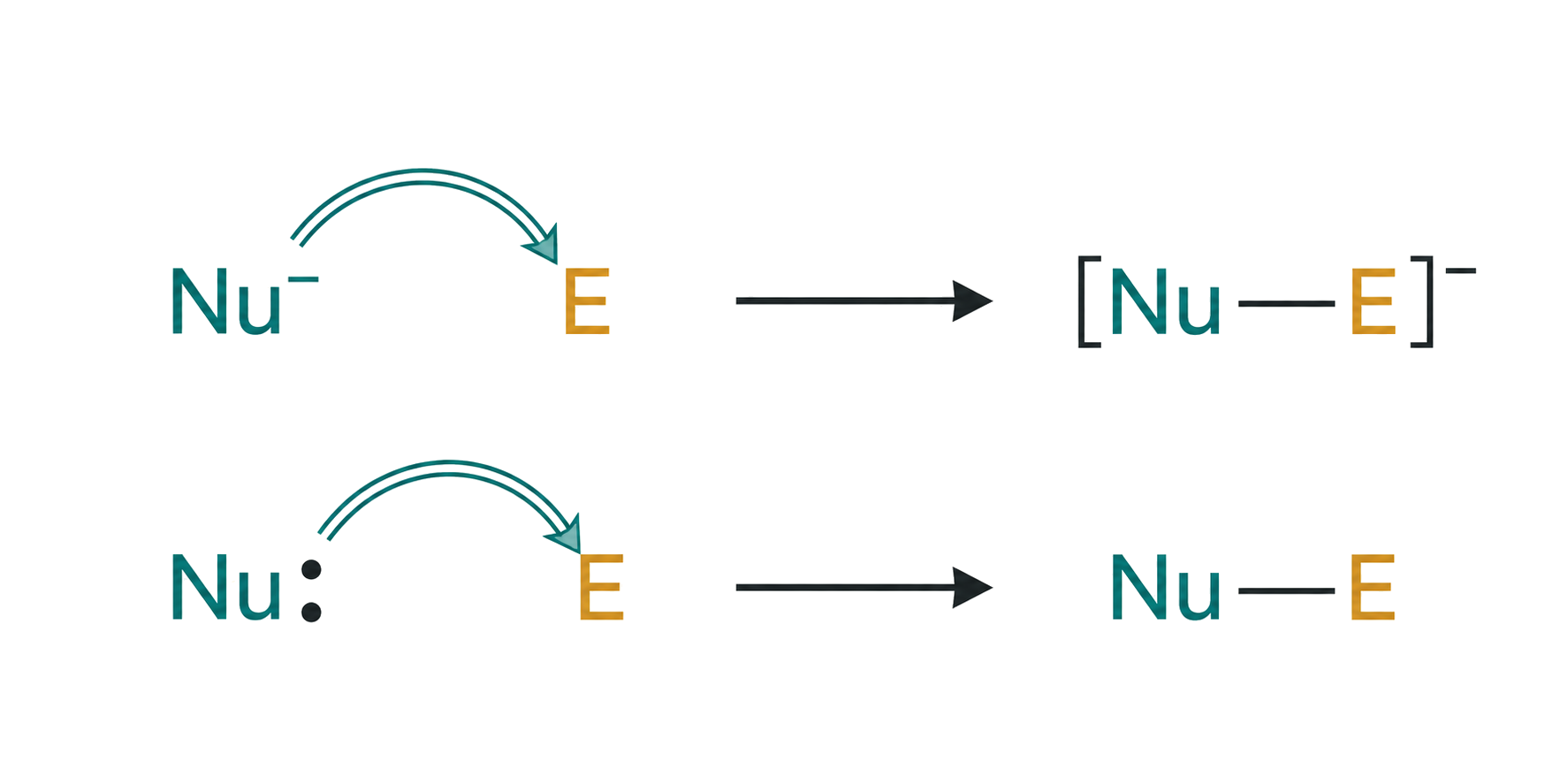 both curved arrows begin at the nucleophile electron pair and end at E; Nu- gives a negatively charged adduct while neutral Nu gives a neutral adduct; the coordinate bond is shown as electron-pair donation from Nu to E.
