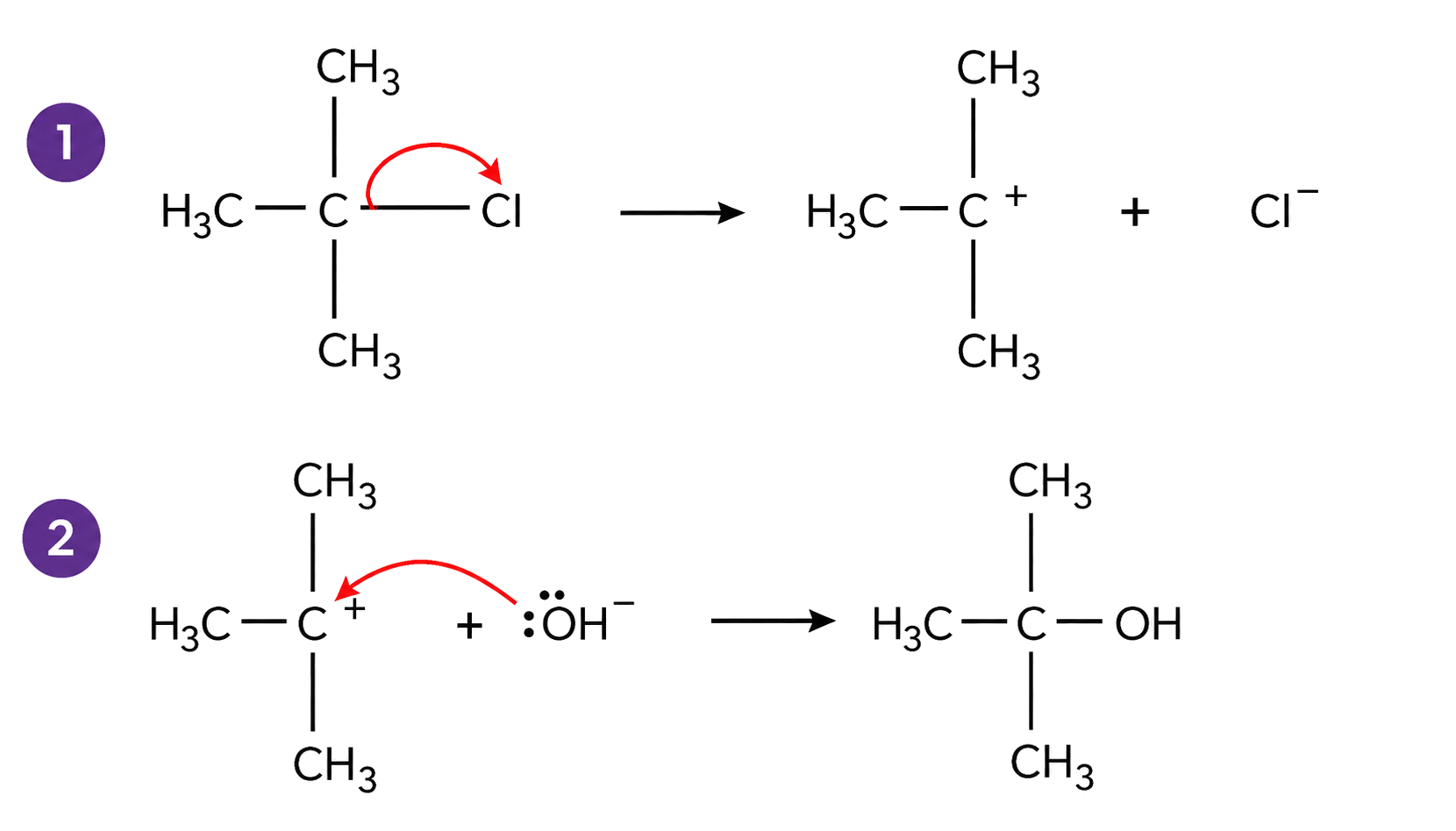 C-Cl heterolysis occurs before hydroxide attack; the tertiary carbocation has three CH3 substituents and an explicit positive charge; hydroxide donates its electron pair to C+ in the second step; Cl- appears once as the leaving-group product.