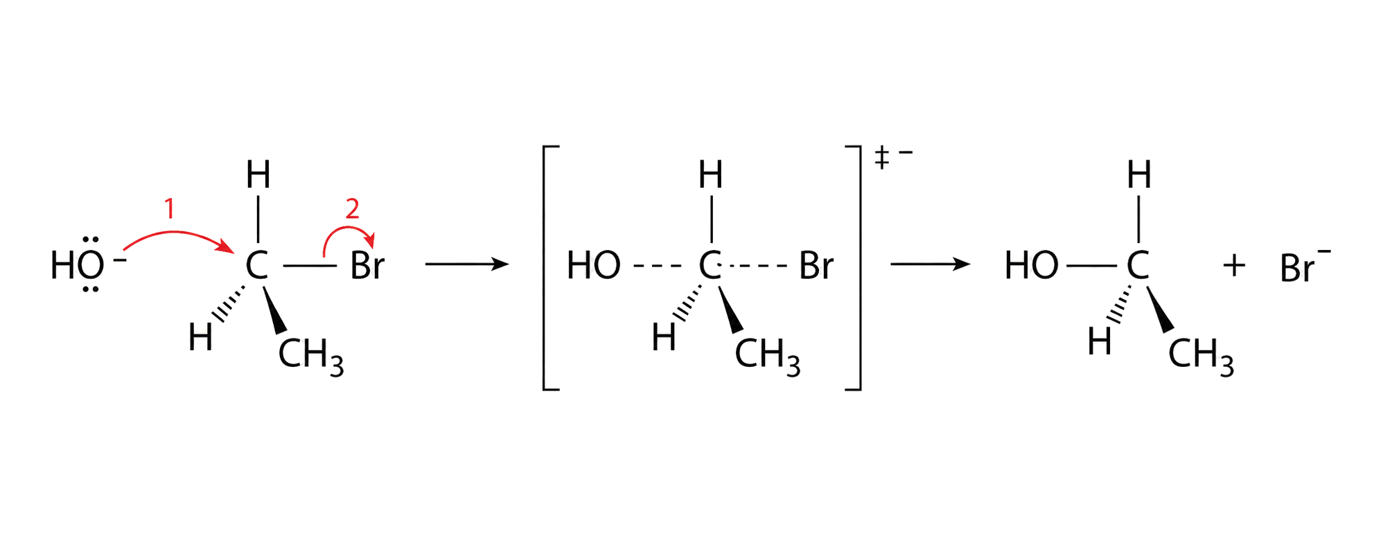 hydroxide attacks opposite bromine in one concerted step; the transition state is bracketed, overall negative, and has partial HO-C and C-Br bonds; no carbocation intermediate is introduced; ethanol and Br- are both shown with conserved atoms and charge.