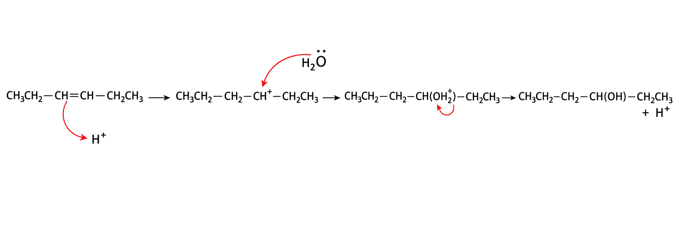 hex-3-ene protonation forms the central secondary carbocation; water attacks from an oxygen lone pair to C+; the oxonium intermediate is positively charged and deprotonates to neutral hexan-3-ol; H+ is regenerated and six carbons are conserved without duplicate hydrogens.