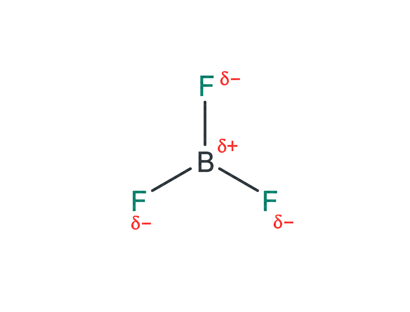 BF3 is trigonal planar with exactly three B-F single bonds; boron is labelled delta positive and each fluorine delta negative; no lone pair, formal charge, or fourth ligand is added to boron.