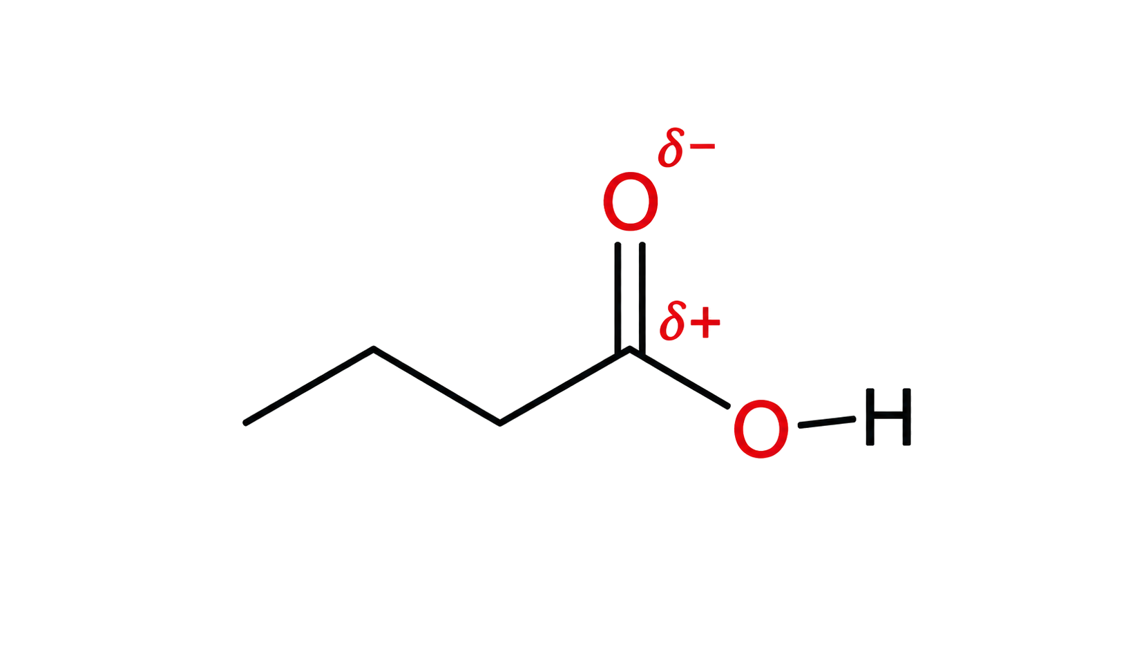 the skeletal structure is butanoic acid with four carbons; the C=O double bond and O-H bond are distinct; the carbonyl carbon is delta positive and carbonyl oxygen delta negative.