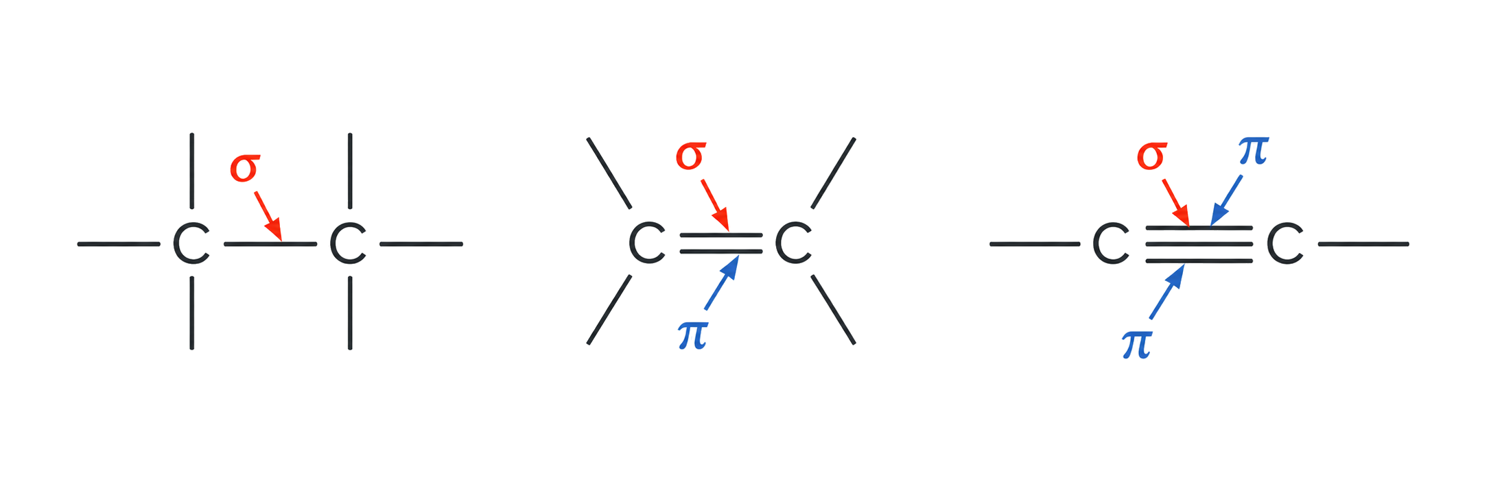 a single bond contains one sigma bond; a double bond contains one sigma and one pi bond; a triple bond contains one sigma and two pi bonds; no multiple bond is assigned more than one sigma bond.
