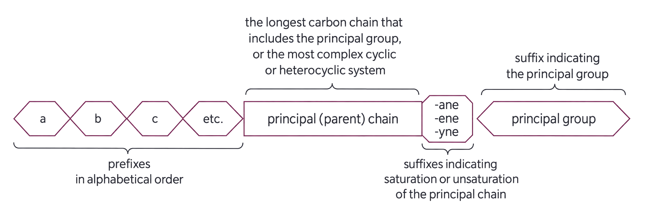 alphabetized prefixes precede the parent chain; the parent chain is the longest chain containing the principal group or relevant cyclic system; ane, ene and yne encode saturation or unsaturation after the parent-chain token; the principal-group suffix is last.