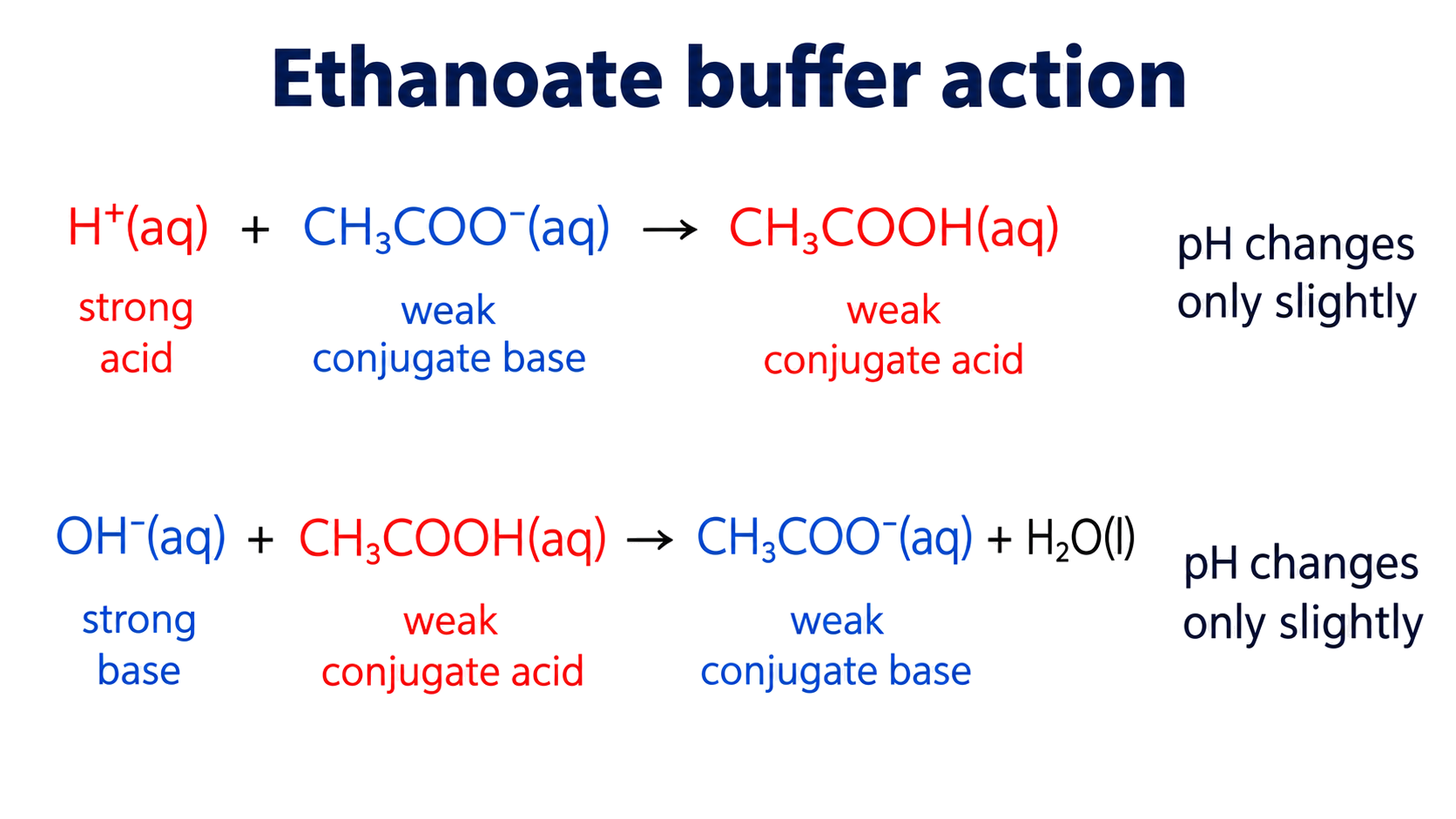 added H+ is consumed by CH3COO− to form CH3COOH; added OH− is consumed by CH3COOH to form CH3COO− and H2O; strong and weak conjugate roles are assigned correctly; the pH is described as changing only slightly, not as absolutely unchanged.
