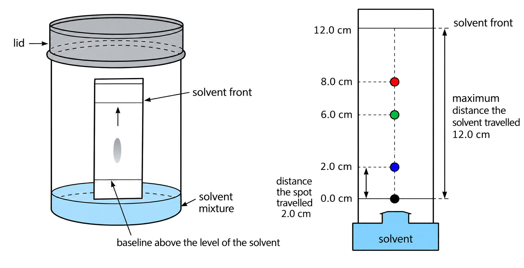 the pencil baseline and initial sample are visibly above the solvent level; the chromatogram baseline is 0.0 cm and the spot centres are 2.0, 6.0 and 8.0 cm; the solvent front is exactly 12.0 cm; both measurement arrows begin at the same baseline.