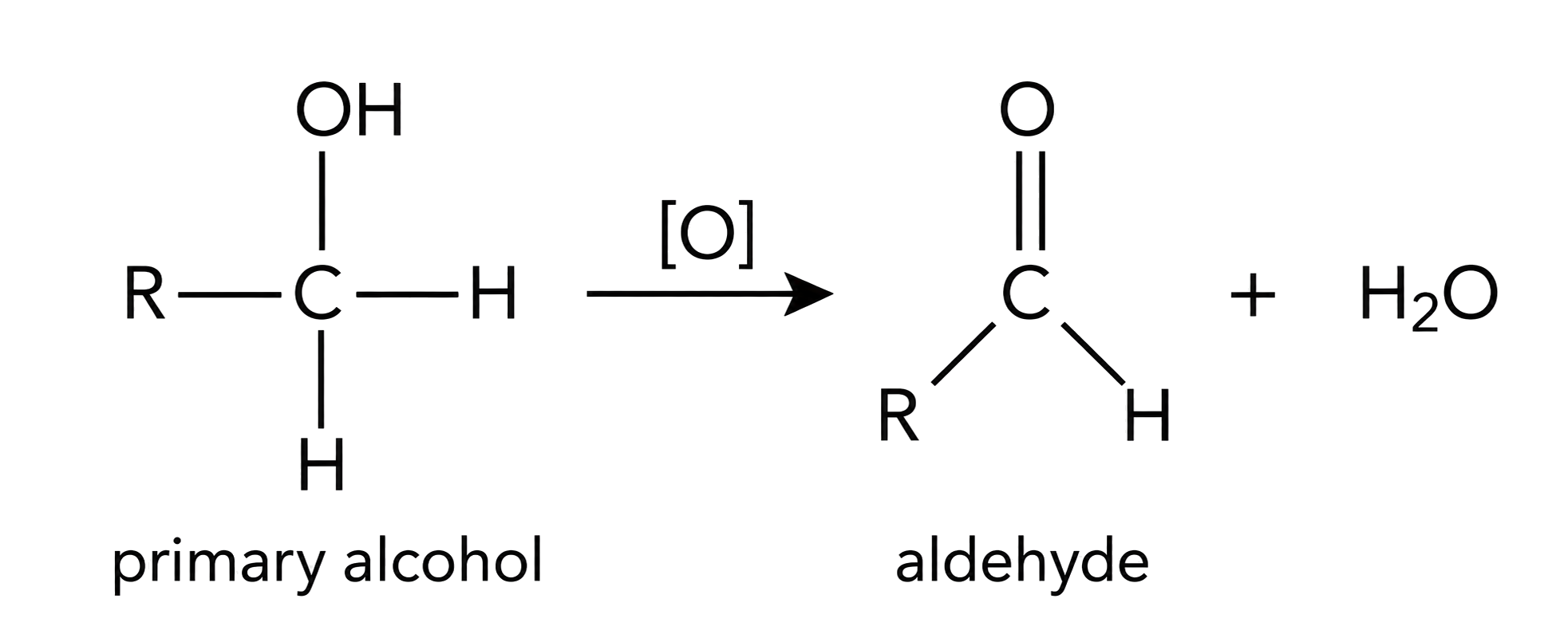 R–CH2OH becomes R–CHO; the aldehyde retains one H on the carbonyl carbon; H2O is shown as in the approved source.