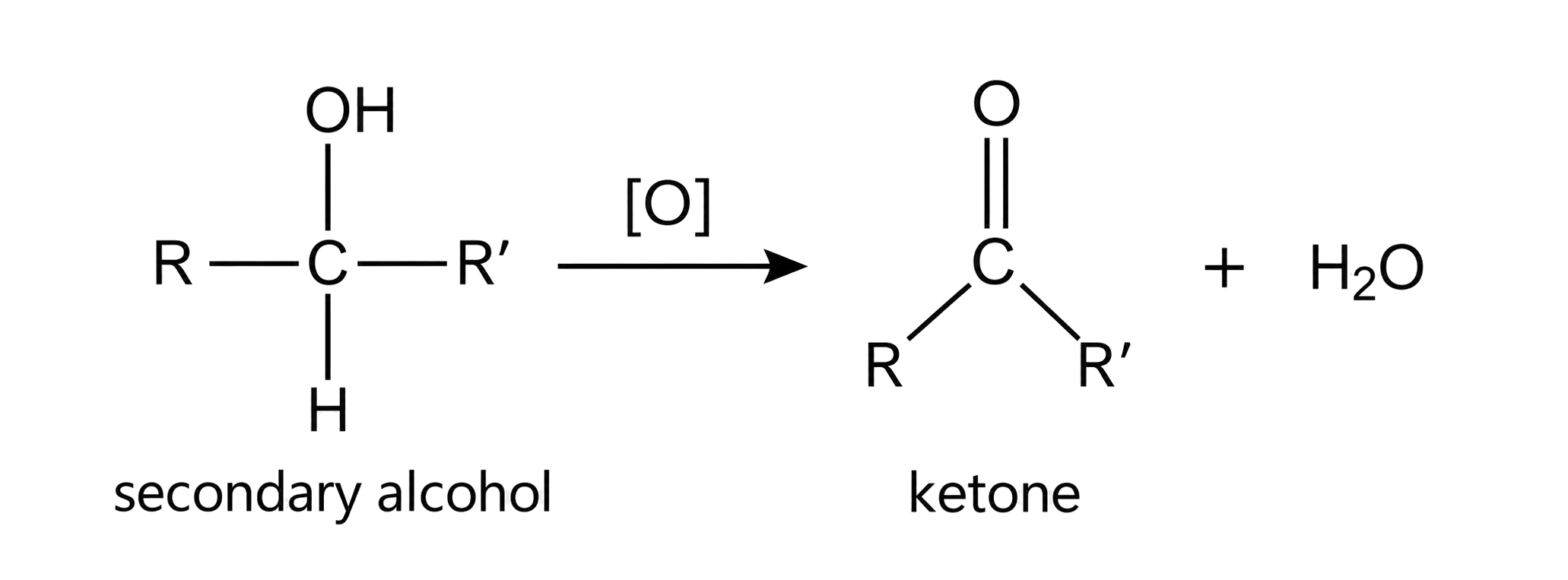 R–CH(OH)–R′ becomes R–C(=O)–R′; both R groups and the functional carbon are retained; H2O is shown as in the approved source.