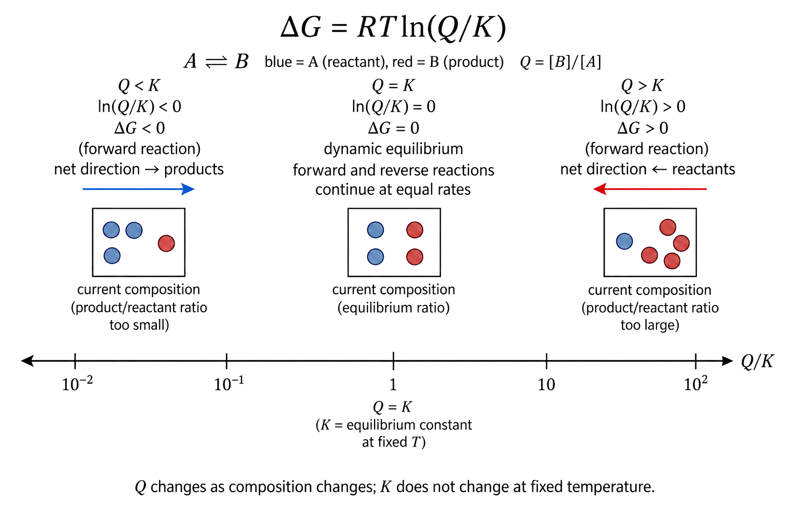 delta G equals RT ln(Q/K); Q less than K gives negative forward delta G and net progress toward products; Q greater than K gives positive forward delta G and net progress toward reactants; Q equals K gives delta G zero and dynamic equilibrium, not stopped reactions.
