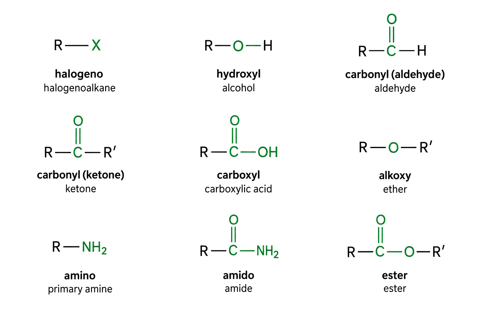 all nine group-to-class mappings match the approved textbook; aldehyde, ketone, carboxyl, amide and ester carbonyl connectivities are distinct and exact; every carbonyl contains a visible C=O double bond; R and R-prime attachment points are unambiguous.