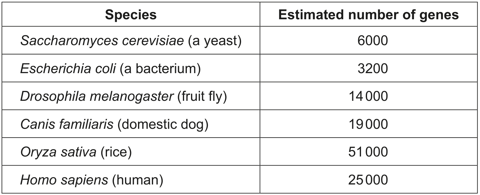 Table