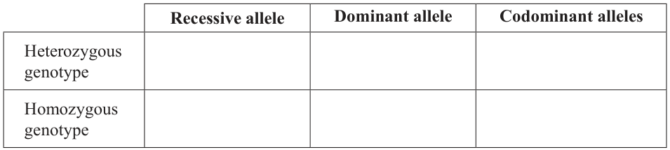 Table