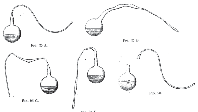 Fig. 25 D.
