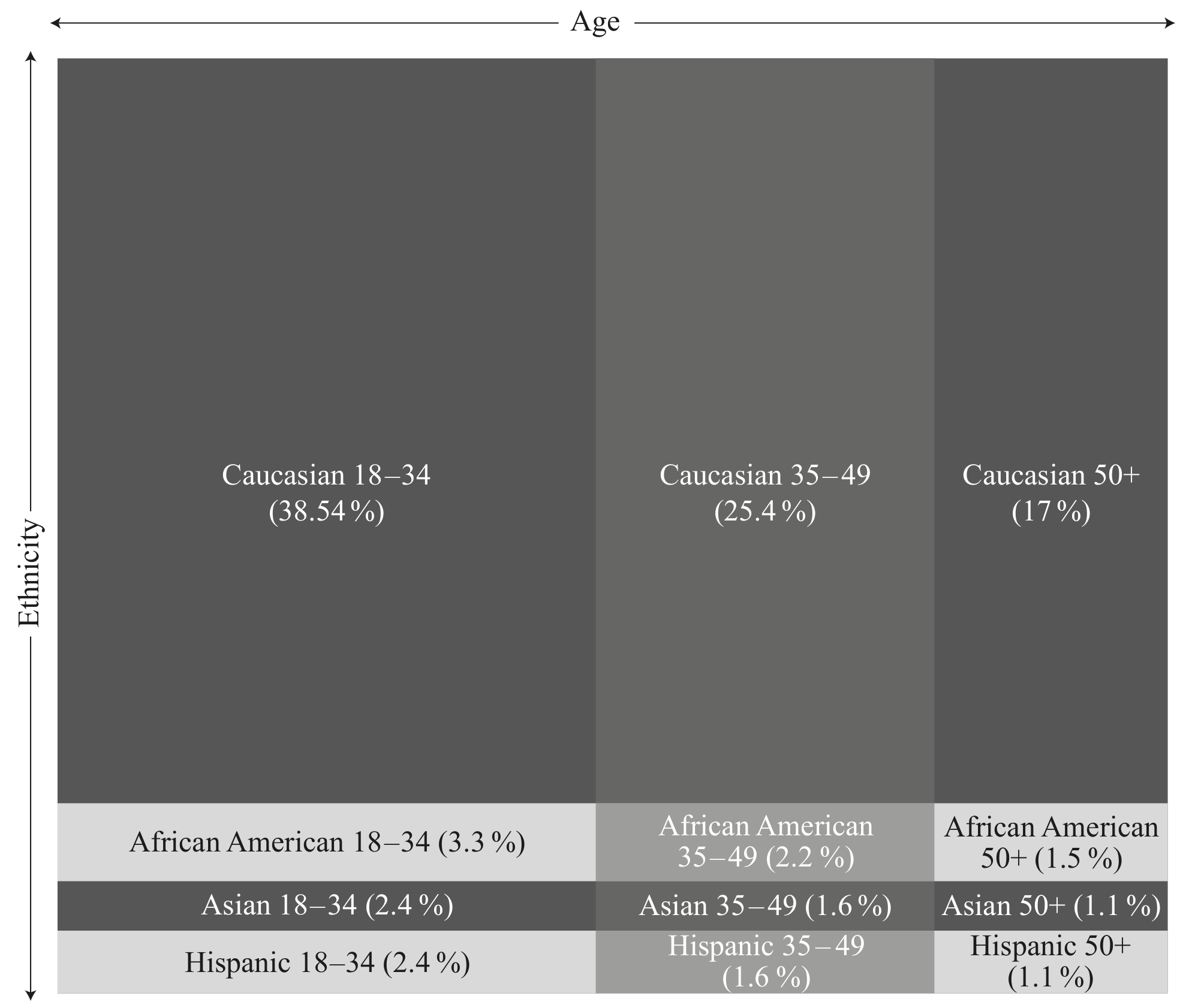 Twitter Demographics (Infographic)