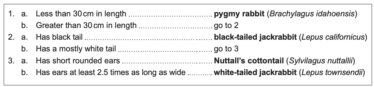 Figure 1(b): A dichotomous key for species A to D
